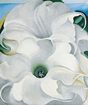 Bella Donna 1939 - Georgia O'Keeffe reproduction oil painting