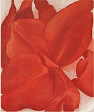 Red Cannas 1927 - Georgia O'Keeffe