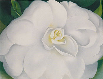 A White Camelia 1938 - Georgia O'Keeffe reproduction oil painting