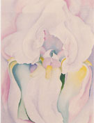 White Iris 1930 - Georgia O'Keeffe reproduction oil painting