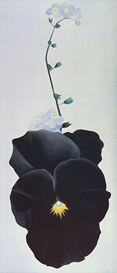 Pansy 1926 - Georgia O'Keeffe reproduction oil painting