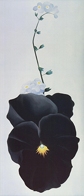 Pansy 1926 - Georgia O'Keeffe