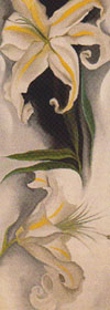 White Flowers 1926 - Georgia O'Keeffe