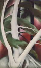 Birch and Pine Tree No 2 1925 - Georgia O'Keeffe