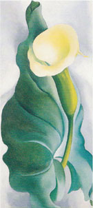 Calla Lily Yellow No 2 1927 - Georgia O'Keeffe reproduction oil painting