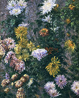 White and Yellow Chrysanthemums Garden at Petit Gennevilliers 1893 - Gustave Caillebotte reproduction oil painting