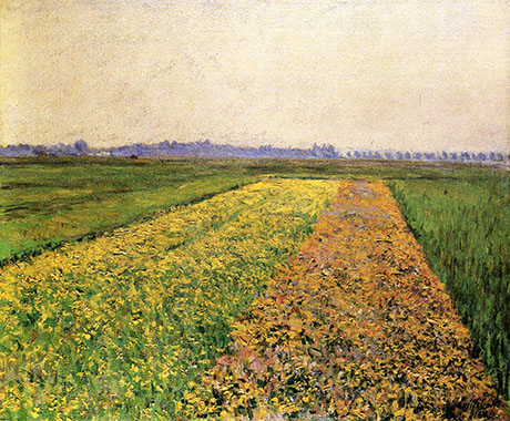 The Gennevilliers Plain Yellow Fields 1884 - Gustave Caillebotte reproduction oil painting