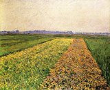 The Gennevilliers Plain Yellow Fields 1884 - Gustave Caillebotte