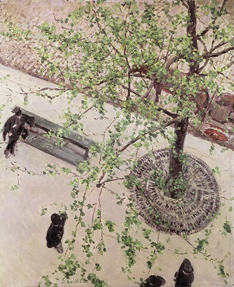 Boulevard Seen from Above c1880 - Gustave Caillebotte reproduction oil painting