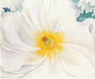 White Flower 1929 - Georgia O'Keeffe