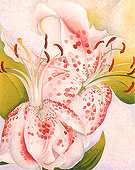 Pink Spotted Lily II 1936 - Georgia O'Keeffe