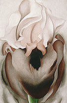 Black Iris VI 1936 - Georgia O'Keeffe reproduction oil painting