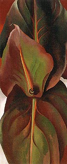 Canna Leaves 1925 - Georgia O'Keeffe