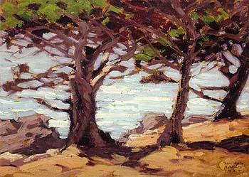 Carmel Cypress 1934 - Sam Hyde Harris reproduction oil painting