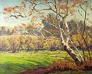 Sycamore - Sam Hyde Harris reproduction oil painting