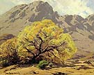 Desert Symphony - Sam Hyde Harris reproduction oil painting