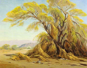 Palo Verde Bloom - Sam Hyde Harris reproduction oil painting