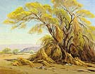 Palo Verde Bloom - Sam Hyde Harris reproduction oil painting