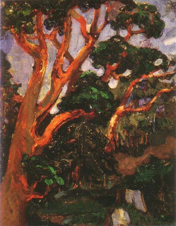 Arbutus Tree 1913 - Emily Carr reproduction oil painting