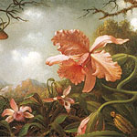 HEADE, Martin Johnson