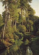 Stream in the Forest 1862 - Gustave Courbet