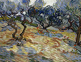 Olive Trees 1890 - Vincent van Gogh reproduction oil painting