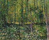 Trees and Undergrowth Summer 1887 - Vincent van Gogh reproduction oil painting