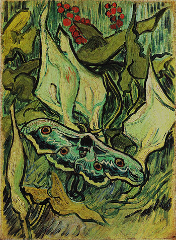 Emperor Moth May 1889 - Vincent van Gogh reproduction oil painting