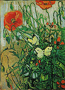 Butterflies and Poppies May 1890 - Vincent van Gogh reproduction oil painting