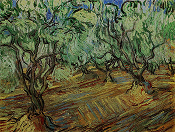 Olive Grove 1889 - Vincent van Gogh reproduction oil painting