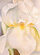 White Iris No 7 1957 - Georgia O'Keeffe