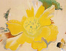 Untitled Cactus Flower 1940 - Georgia O'Keeffe