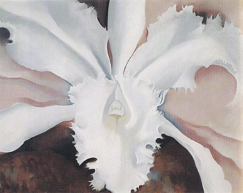 Narcissas Last Orchid 1941 - Georgia O'Keeffe reproduction oil painting