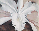 Narcissas Last Orchid 1941 - Georgia O'Keeffe reproduction oil painting