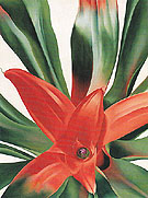 Leaves Of A Plant 1942 - Georgia O'Keeffe reproduction oil painting