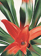 Leaves Of A Plant 1942 - Georgia O'Keeffe