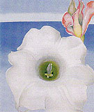Bella Donna With Pink Torch Ginger Bud 1939 - Georgia O'Keeffe