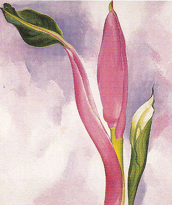 Pink Ornamental Banana 1939 - Georgia O'Keeffe reproduction oil painting