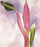 Pink Ornamental Banana 1939 - Georgia O'Keeffe reproduction oil painting