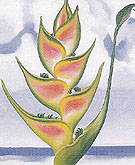Heliconia 1939 - Georgia O'Keeffe reproduction oil painting