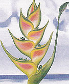 Heliconia 1939 - Georgia O'Keeffe