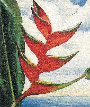 Crabs Claw Ginger Hawaii 1939 - Georgia O'Keeffe reproduction oil painting