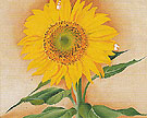 A Sunflower From Maggie 1937 - Georgia O'Keeffe reproduction oil painting