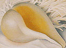 Shell IV 1937 - Georgia O'Keeffe reproduction oil painting
