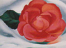 Red Camellia 1935 - Georgia O'Keeffe reproduction oil painting