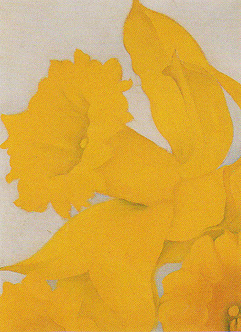 Jonquils No 2 1936 - Georgia O'Keeffe reproduction oil painting