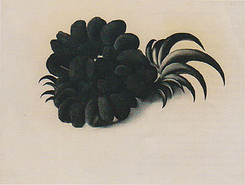 Eagle Claw And Bean Necklace 1934 - Georgia O'Keeffe reproduction oil painting