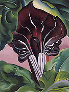 Jack In Pulpit No 2 1930 - Georgia O'Keeffe