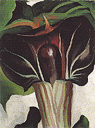 Jack In Pulpit No 1 1930 - Georgia O'Keeffe reproduction oil painting