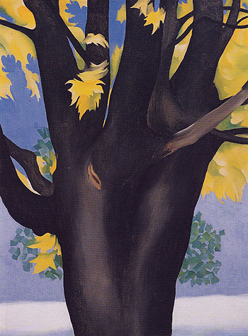 Black Maple Trunk Yellow Leaves 1929 - Georgia O'Keeffe reproduction oil painting